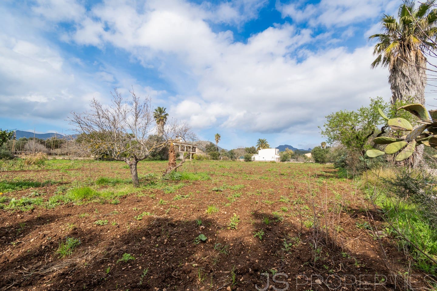 2 sypialnia Dom na sprzedaż w Pollensa / Pollenca - 399 000 € (Ref: 8872927)