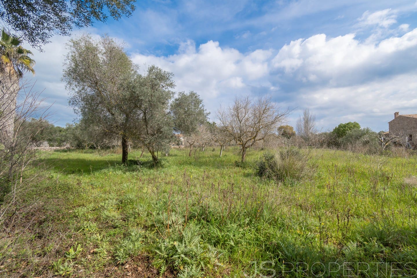 2 sypialnia Dom na sprzedaż w Pollensa / Pollenca - 399 000 € (Ref: 8872927)