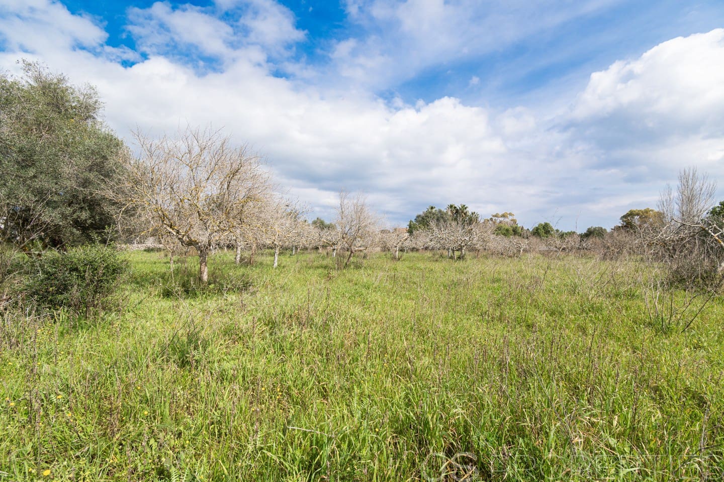 2 sypialnia Dom na sprzedaż w Pollensa / Pollenca - 399 000 € (Ref: 8872927)