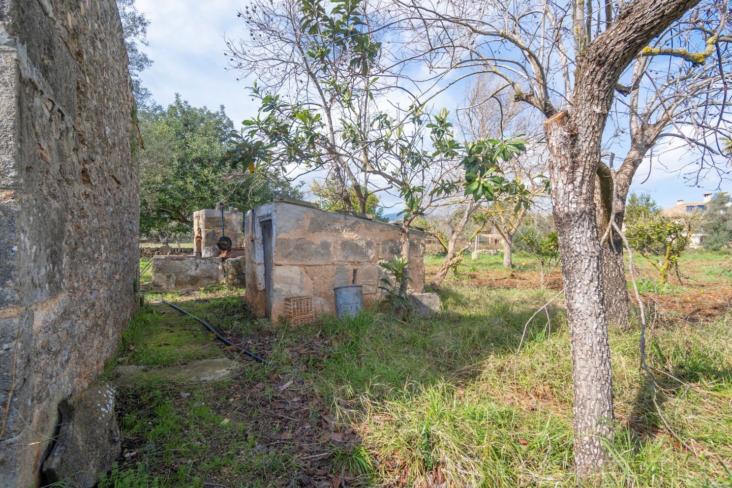 2 sypialnia Dom na sprzedaż w Pollensa / Pollenca - 399 000 € (Ref: 8872927)