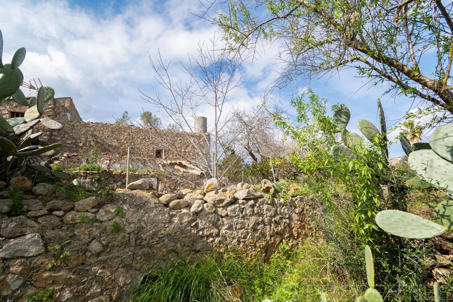 2 sypialnia Dom na sprzedaż w Pollensa / Pollenca - 399 000 € (Ref: 8872927)