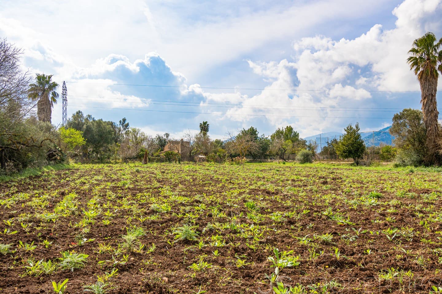 2 sypialnia Dom na sprzedaż w Pollensa / Pollenca - 399 000 € (Ref: 8872927)