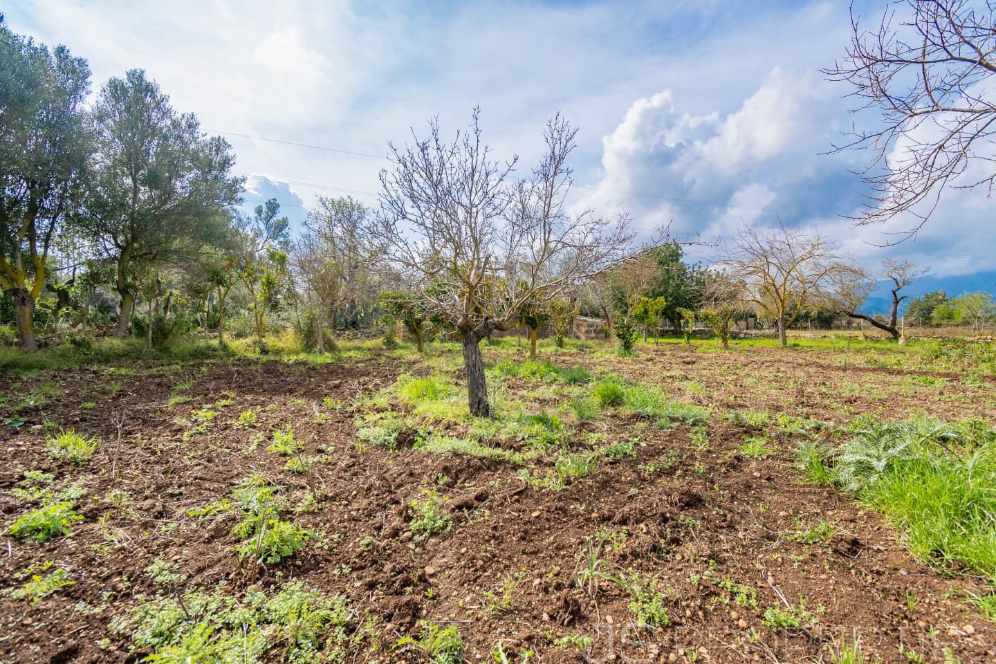 2 sypialnia Dom na sprzedaż w Pollensa / Pollenca - 399 000 € (Ref: 8872927)