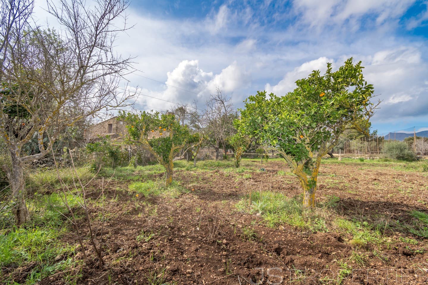 2 sypialnia Dom na sprzedaż w Pollensa / Pollenca - 399 000 € (Ref: 8872927)