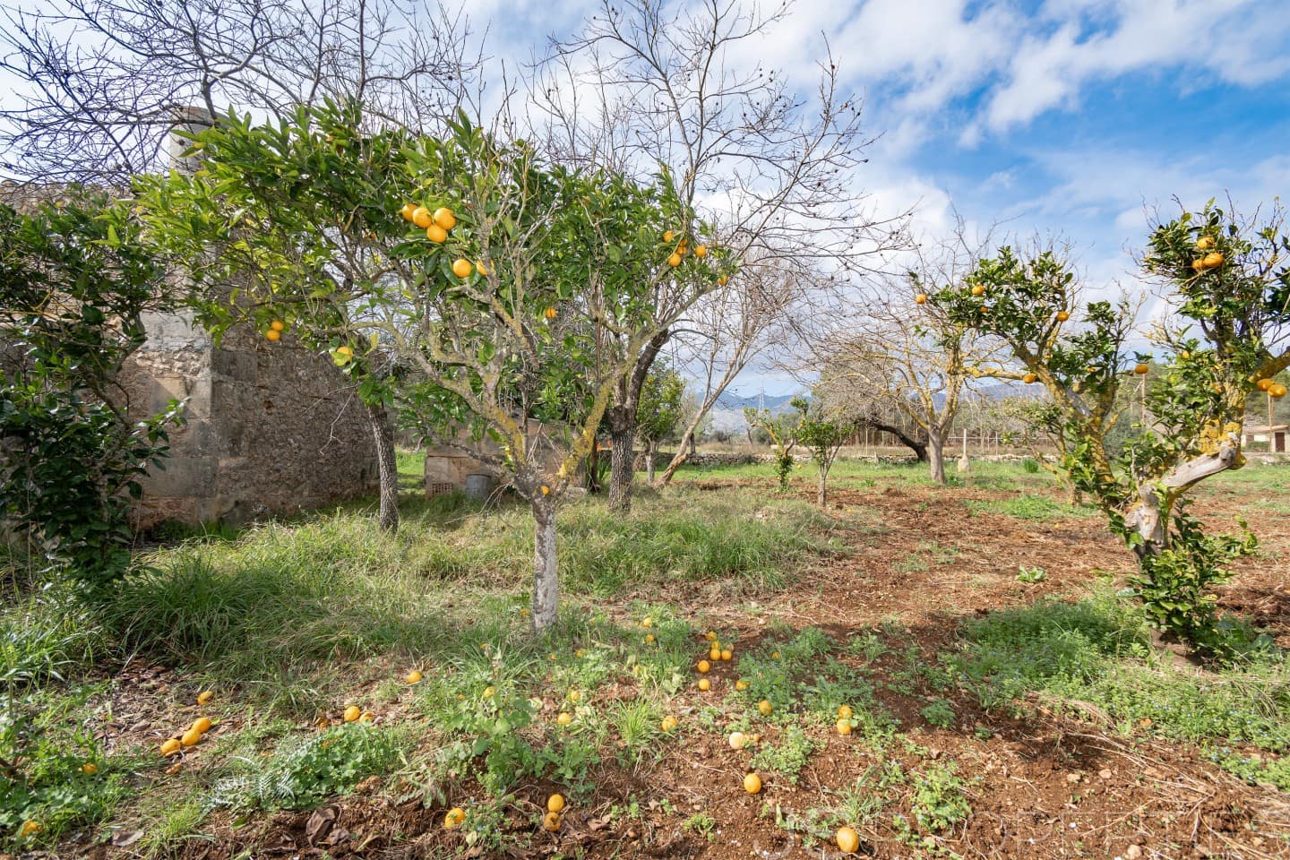 2 sypialnia Dom na sprzedaż w Pollensa / Pollenca - 399 000 € (Ref: 8872927)