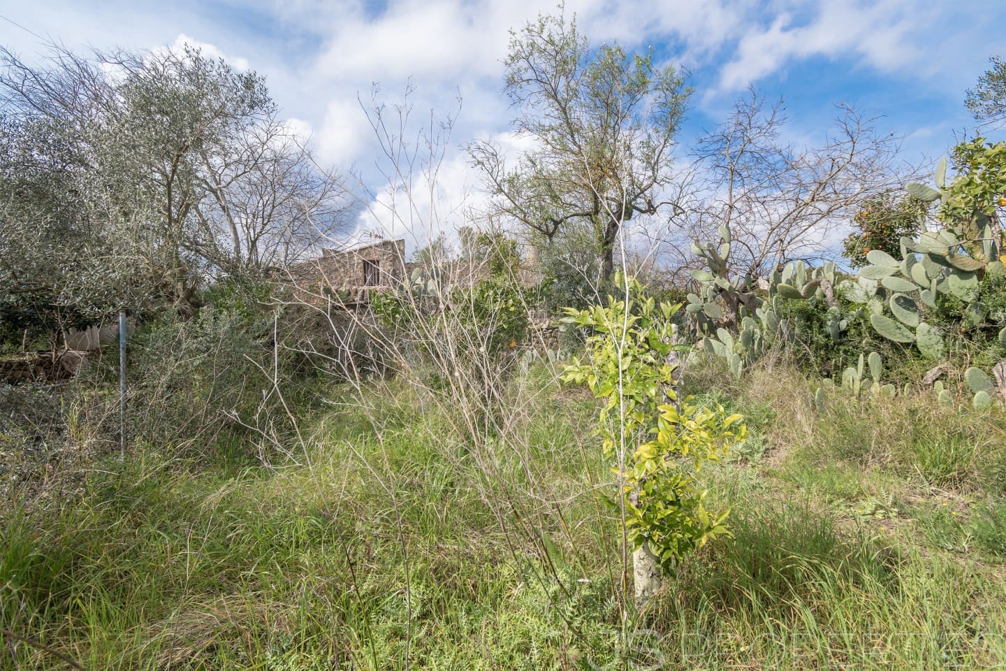 2 sypialnia Dom na sprzedaż w Pollensa / Pollenca - 399 000 € (Ref: 8872927)