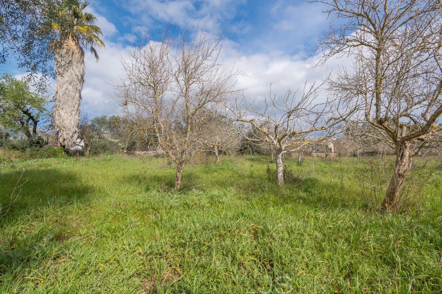 2 sypialnia Dom na sprzedaż w Pollensa / Pollenca - 399 000 € (Ref: 8872927)