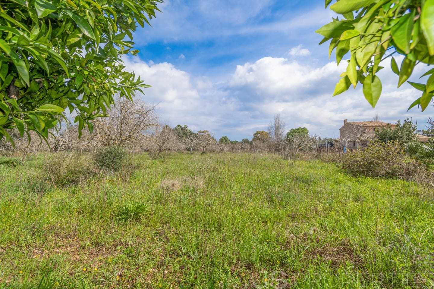 2 sypialnia Dom na sprzedaż w Pollensa / Pollenca - 399 000 € (Ref: 8872927)