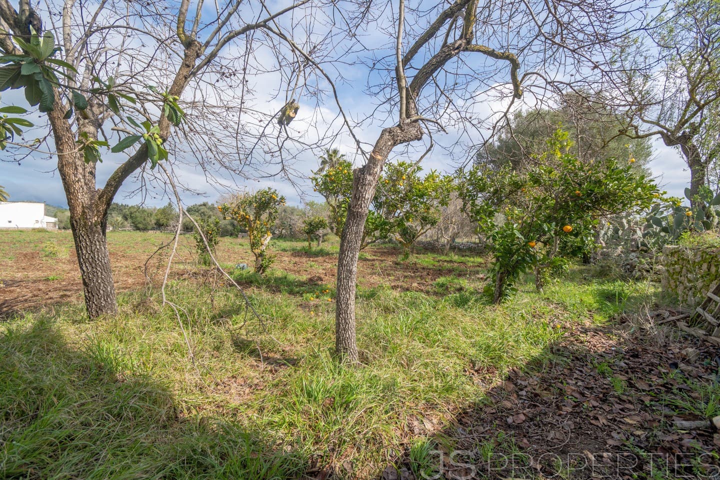 2 sypialnia Dom na sprzedaż w Pollensa / Pollenca - 399 000 € (Ref: 8872927)