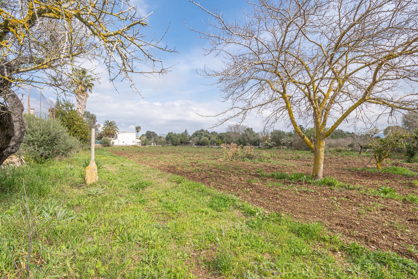 2 sypialnia Dom na sprzedaż w Pollensa / Pollenca - 399 000 € (Ref: 8872927)