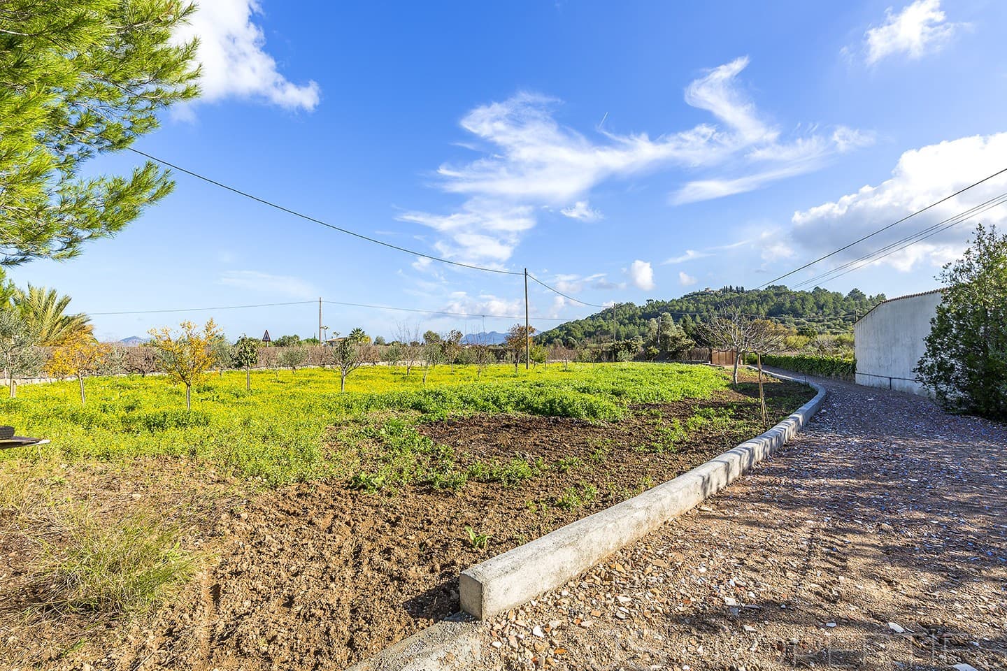 5 slaapkamer Villa te koop in Pollensa / Pollenca - € 1.600.000 (Ref: 9444482)