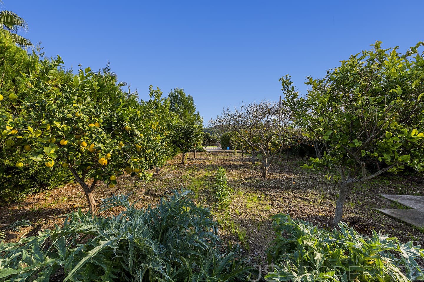 5 slaapkamer Villa te koop in Pollensa / Pollenca - € 1.600.000 (Ref: 9444482)