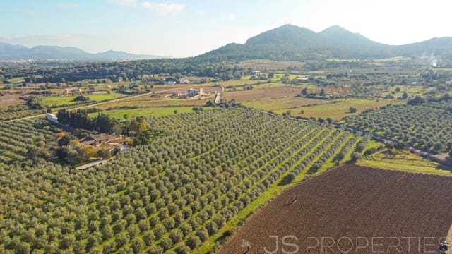 Byggetomt til salgs i Alcúdia - € 900 000 (Ref: 9453497)