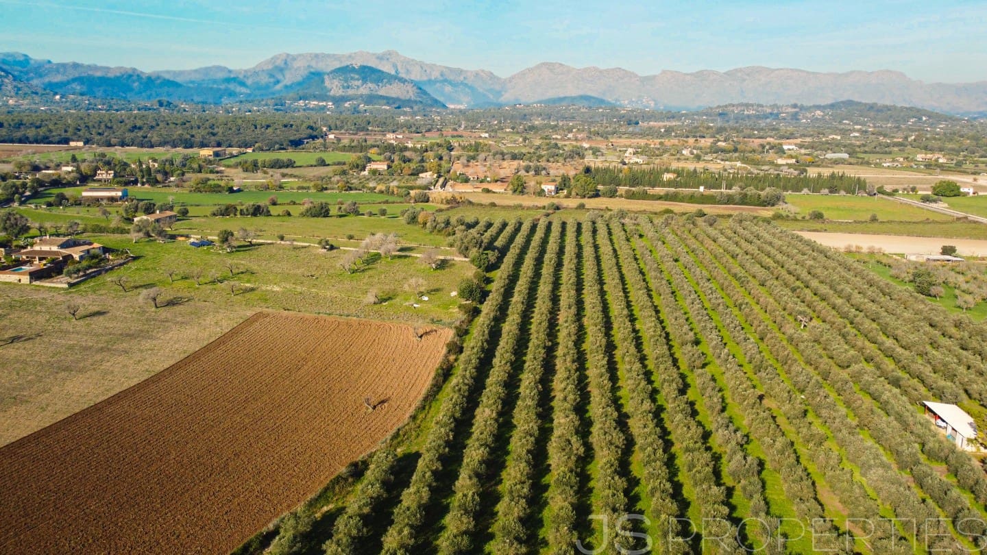 Bauplatz zu verkaufen in Alcudia - 900.000 € (Ref: 9453497)