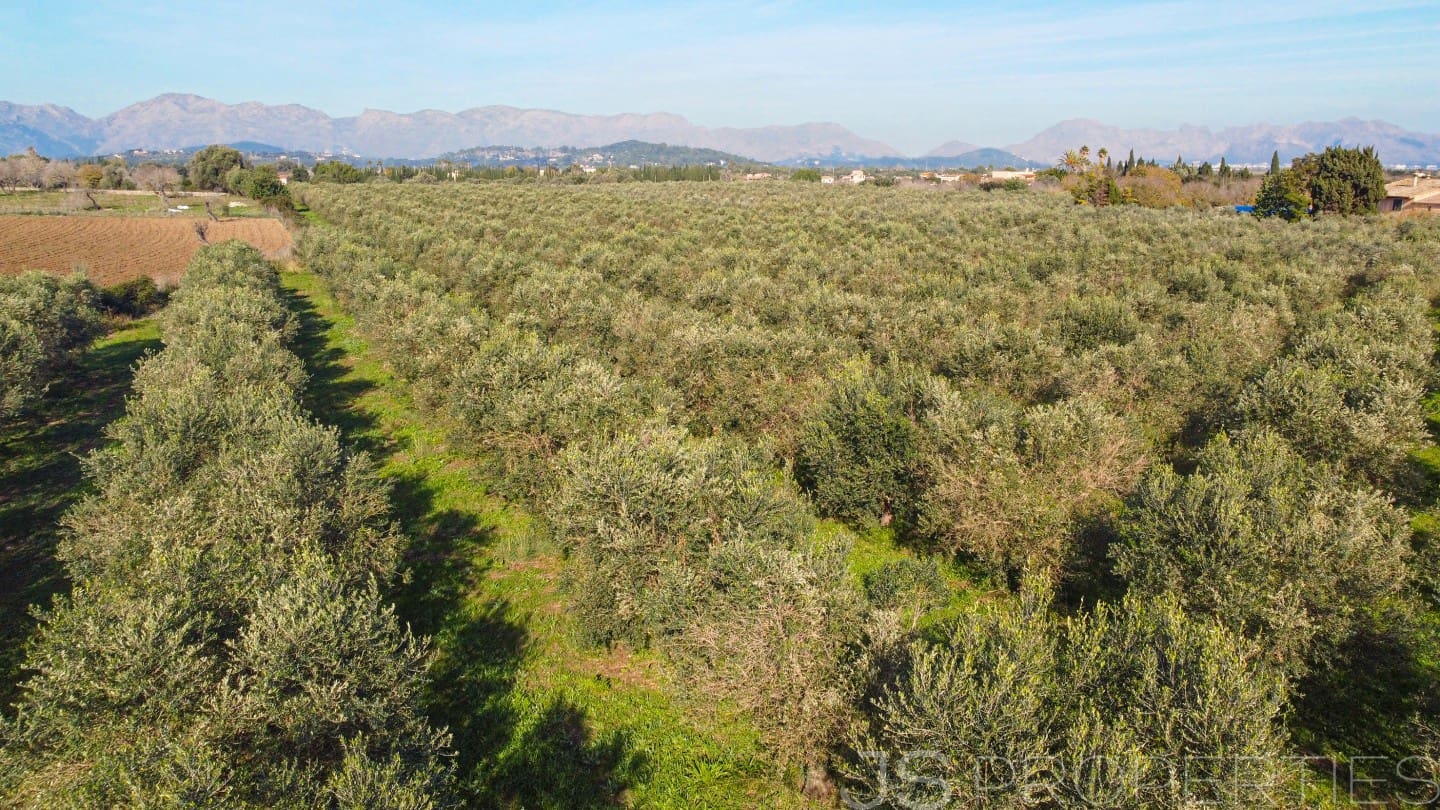 Bauplatz zu verkaufen in Alcudia - 900.000 € (Ref: 9453497)