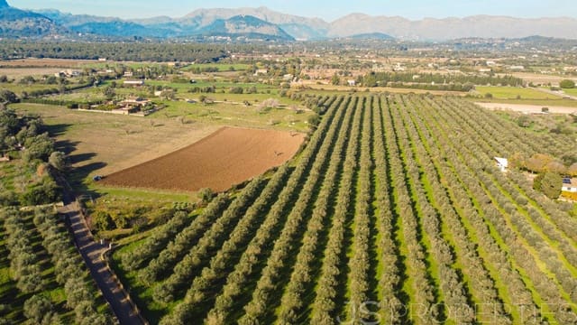 Byggetomt til salgs i Alcúdia - € 900 000 (Ref: 9453497)