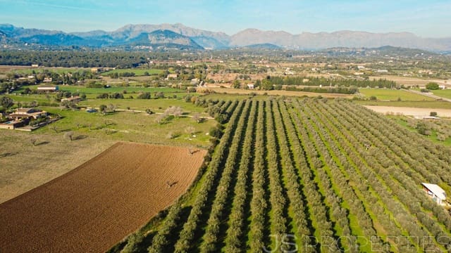 Byggetomt til salgs i Alcúdia - € 900 000 (Ref: 9453497)