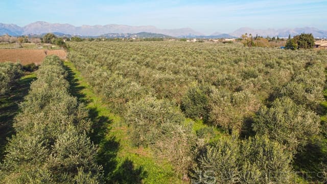 Byggetomt til salgs i Alcúdia - € 900 000 (Ref: 9453497)