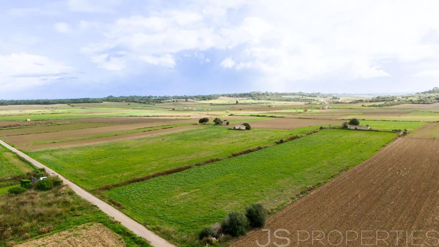 Solar/Parcela en Muro en venta - 210.000 € (Ref: 9821011)