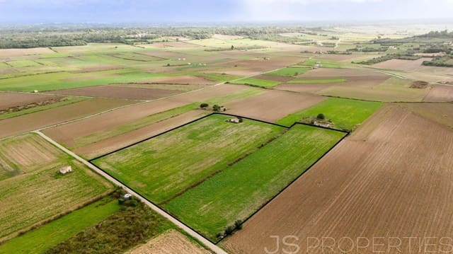 Solar/Parcela en Muro en venta - 210.000 € (Ref: 9821011)