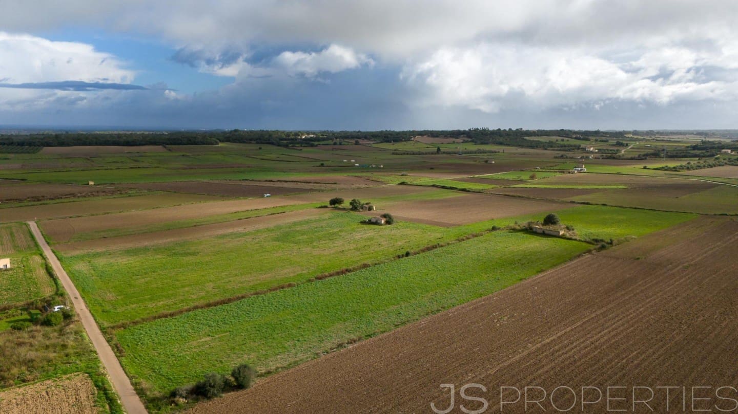 Solar/Parcela en Muro en venta - 210.000 € (Ref: 9821011)