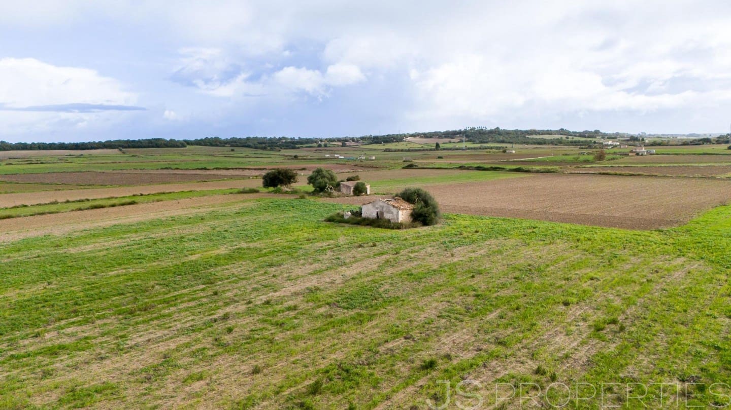 Solar/Parcela en Muro en venta - 210.000 € (Ref: 9821011)