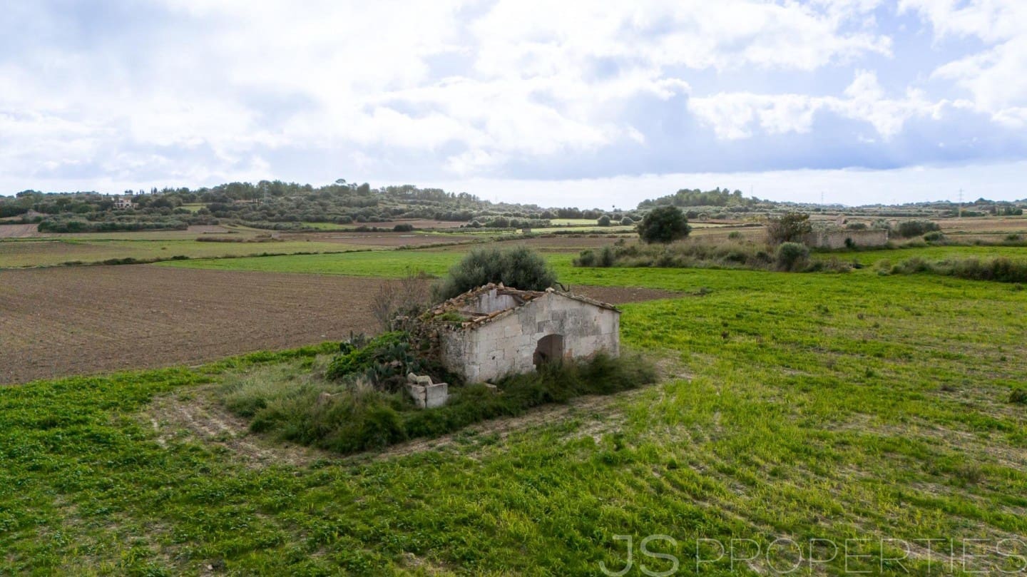 Solar/Parcela en Muro en venta - 210.000 € (Ref: 9821011)