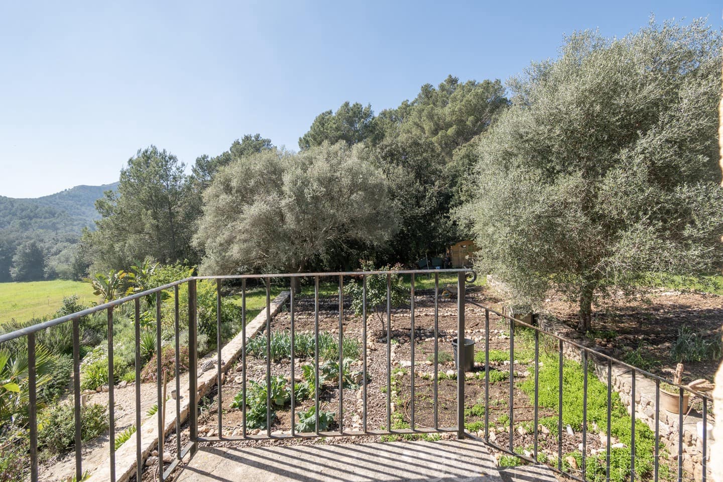 5 soverom Villa til salgs i Pollensa / Pollenca med svømmebasseng - € 3 200 000 (Ref: 9941498)