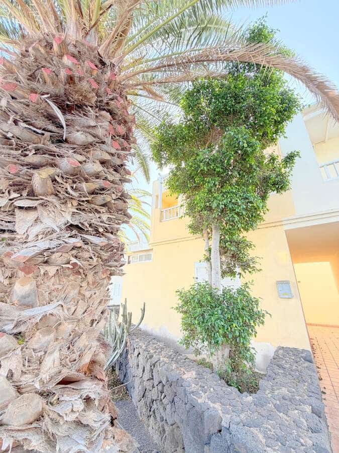 3 soverom Kjedet enebolig til salgs i Costa Teguise - € 399 900 (Ref: 10085403)