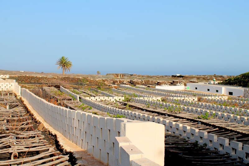 5 chambre Finca/Maison de Campagne à vendre à Ye - 600 000 € (Ref: 9334283)