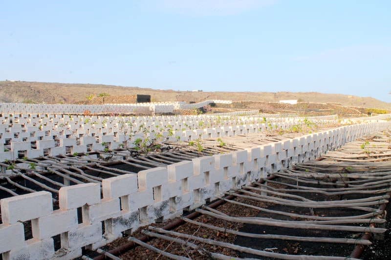 5 chambre Finca/Maison de Campagne à vendre à Ye - 600 000 € (Ref: 9334283)