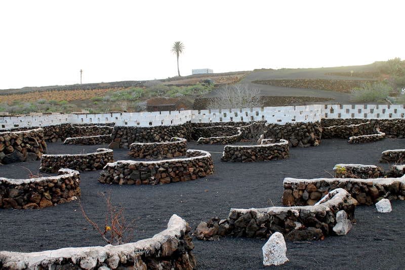 5 chambre Finca/Maison de Campagne à vendre à Ye - 600 000 € (Ref: 9334283)