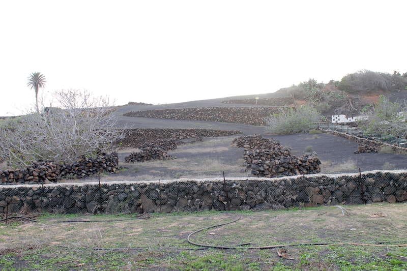 5 chambre Finca/Maison de Campagne à vendre à Ye - 600 000 € (Ref: 9334283)