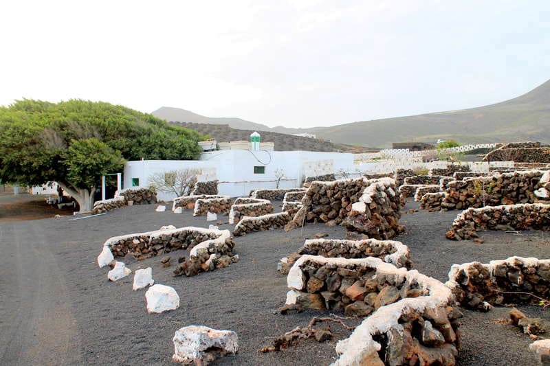 5 chambre Finca/Maison de Campagne à vendre à Ye - 600 000 € (Ref: 9334283)