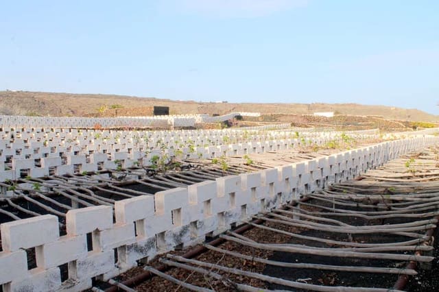 5 bedroom Finca/Country House for sale in Ye, Haría - € 600,000 (Ref: 9334283)