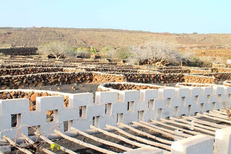 5 chambre Finca/Maison de Campagne à vendre à Ye - 600 000 € (Ref: 9334283)