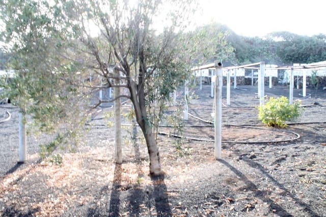 5 bedroom Finca/Country House for sale in Ye, Haría - € 600,000 (Ref: 9334283)