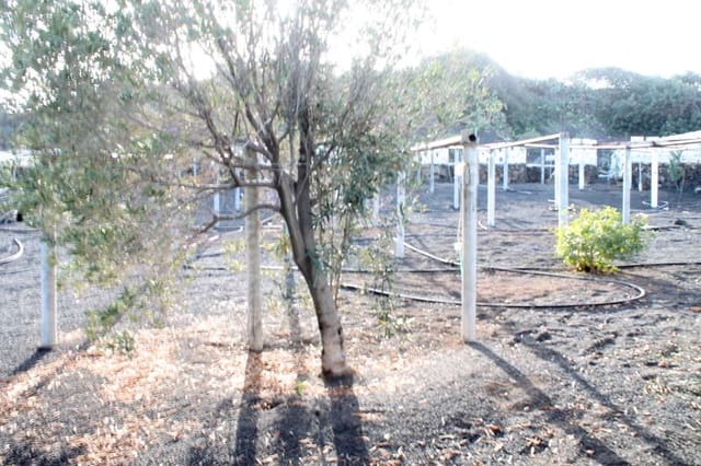 5 sovrum Finca/Hus på landet till salu i Ye, Haría - 600 000 € (Ref: 9334283)