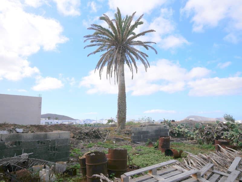 5 bedroom Finca/Country House for sale in Tinajo - € 450,000 (Ref: 9382031)
