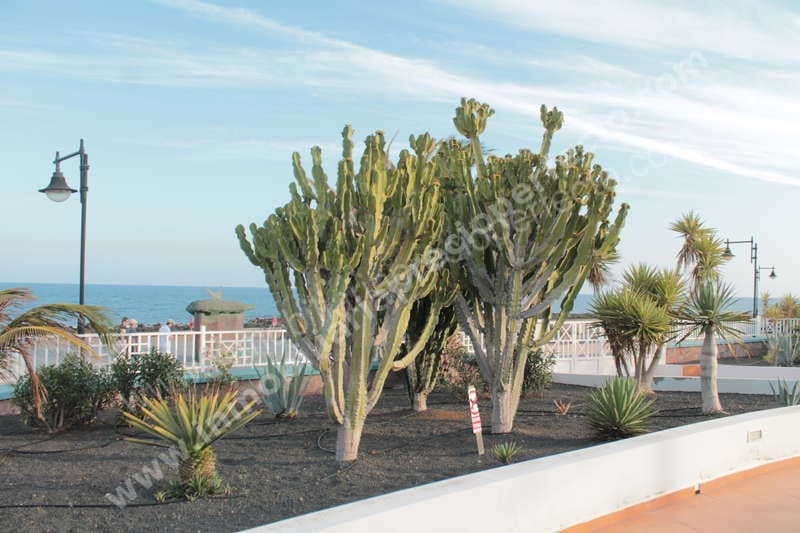 2 soveværelse Lejlighed til salg i Puerto del Carmen med swimmingpool garage - € 350.000 (Ref: 9421810)