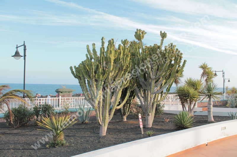 2 bedroom Apartment for sale in Puerto del Carmen with pool - € 350,000 (Ref: 9421810)