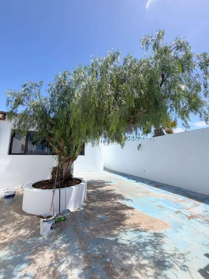 4 soverom Finca/Herregård til salgs i Guime med svømmebasseng garasje - € 600 000 (Ref: 9891488)