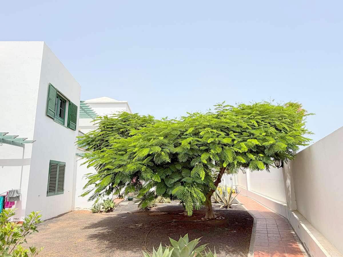 2 sovrum Lägenhet till salu i Costa Teguise med pool garage - 299 000 € (Ref: 9999500)