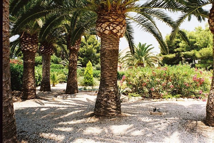 Kommersiell till salu i Javea / Xabia med pool - 850 000 € (Ref: 9487045)