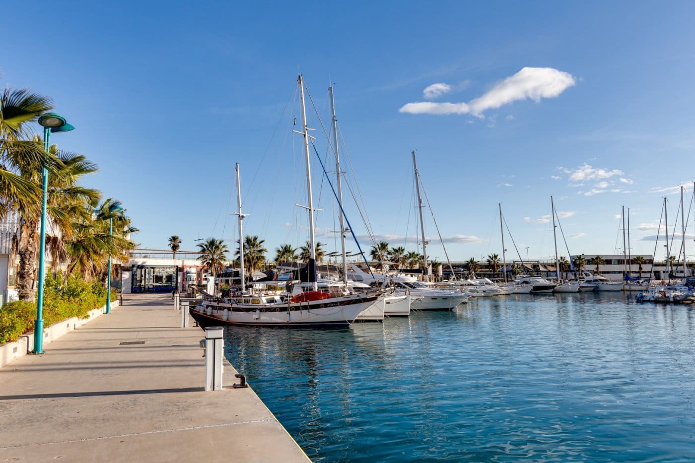 2 soverom Leilighet til leie i Torrevieja - € 780 (Ref: 10075660)