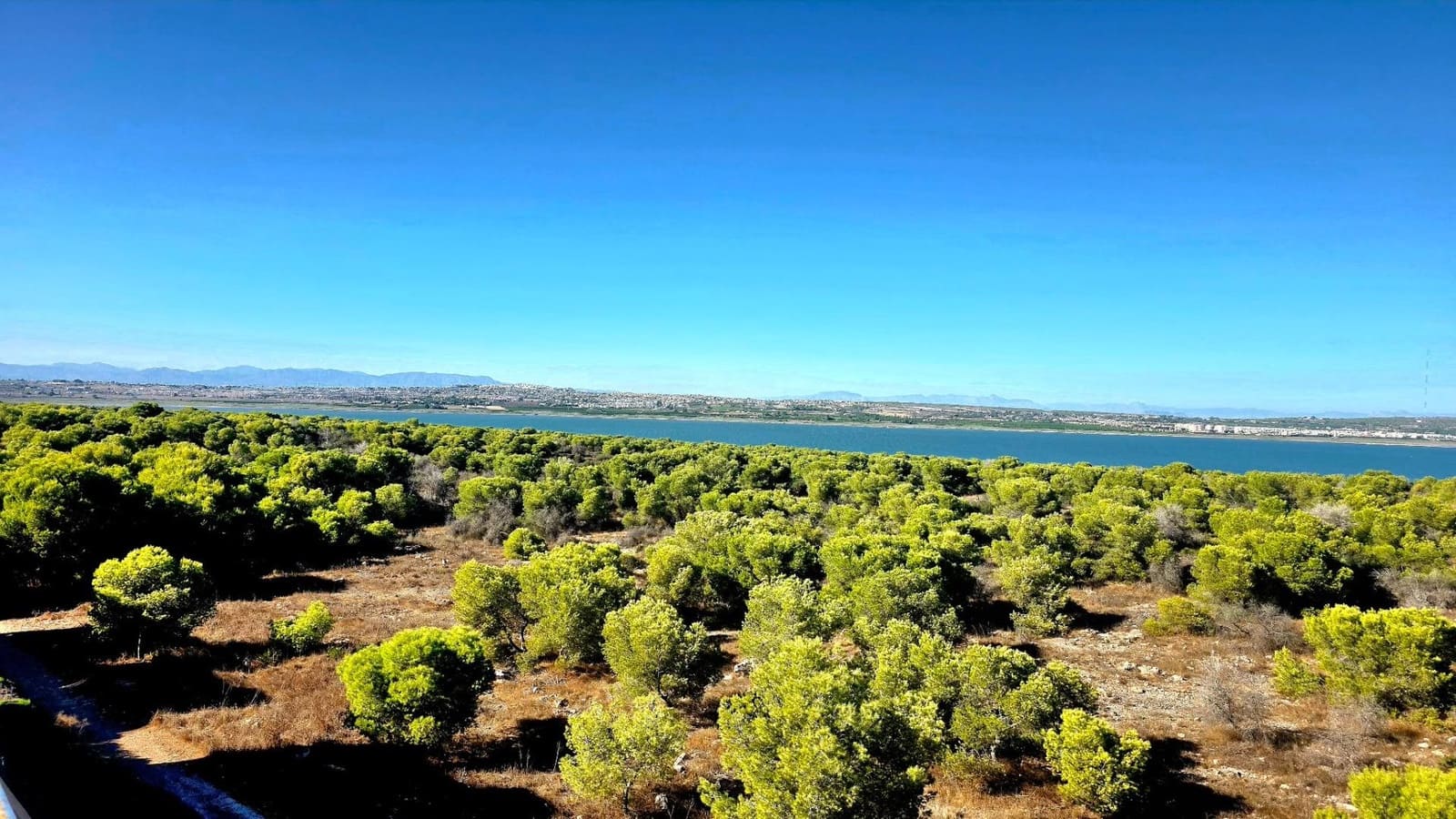 3 sypialnia Apartament na sprzedaż w Torrevieja z basenem - 155 000 € (Ref: 10081235)