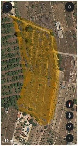 Terrain à Bâtir à vendre à Polop - 2 200 000 € (Ref: 8100312)