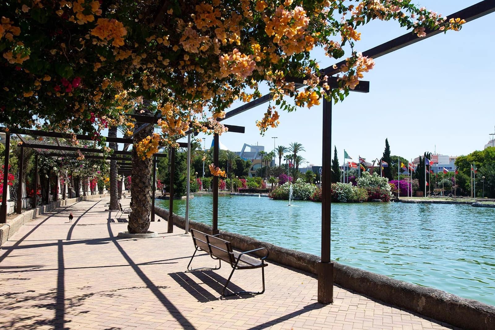 2 soveværelse Lejlighed til salg i Torrevieja med swimmingpool - € 139.900 (Ref: 9422375)