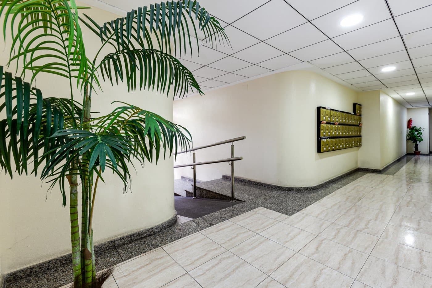 2 soveværelse Lejlighed til leje i Torrevieja - € 750 (Ref: 9604931)