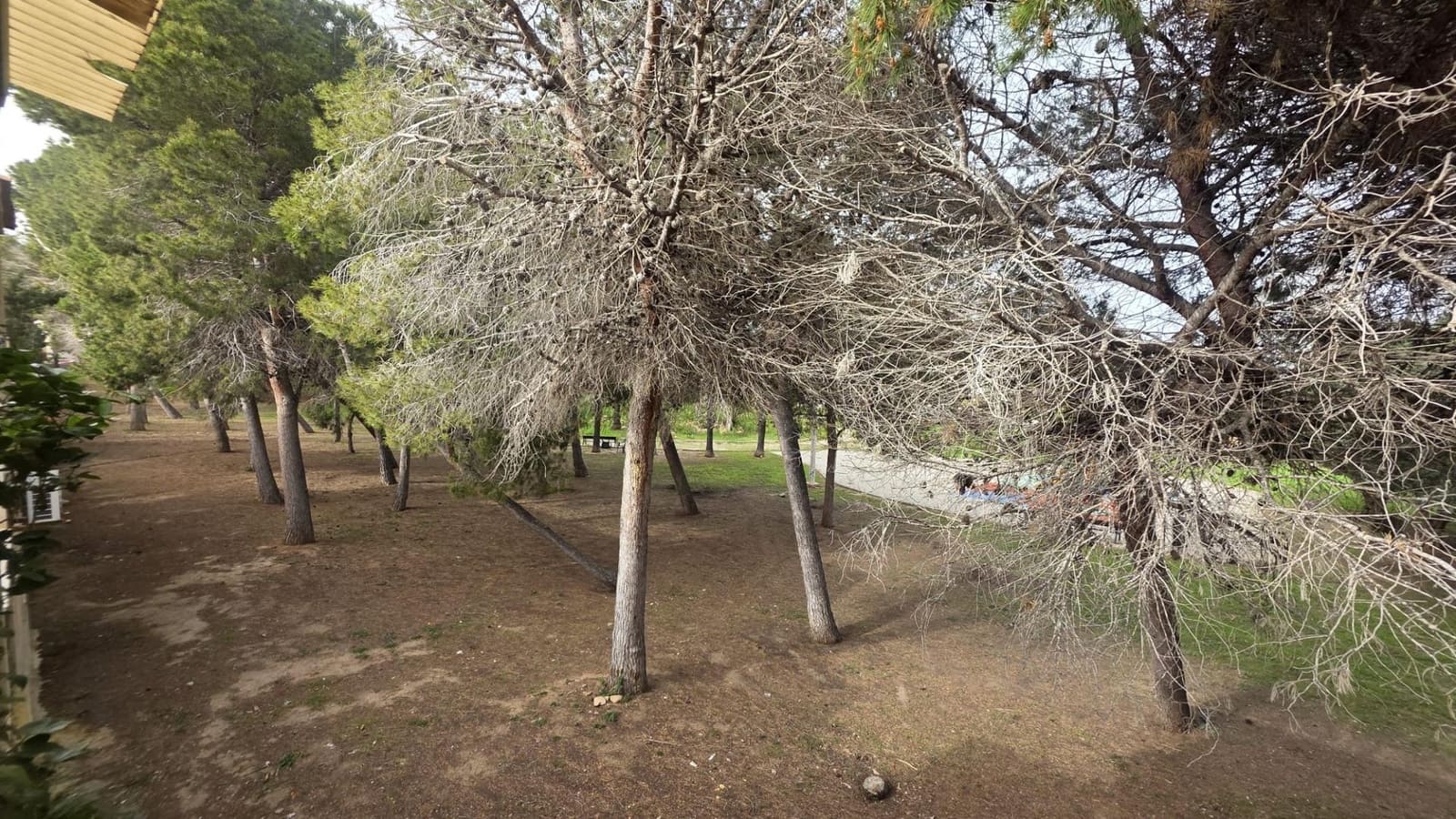 Bungalow de 2 habitaciones en Torrevieja en venta con piscina garaje - 157.990 € (Ref: 9677425)